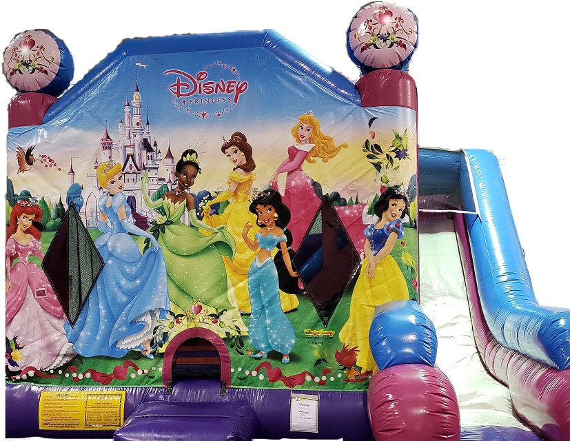 Moonbounce - Disney Princess